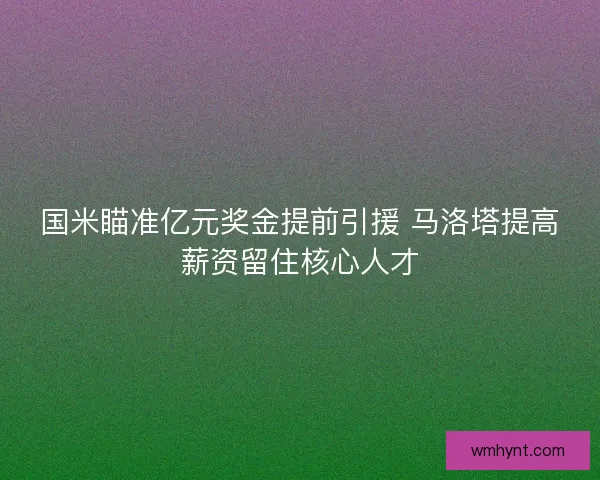 国米瞄准亿元奖金提前引援 马洛塔提高薪资留住核心人才