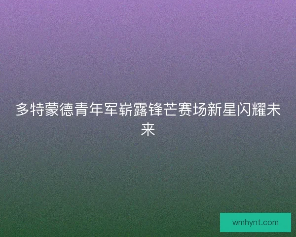 多特蒙德青年军崭露锋芒赛场新星闪耀未来