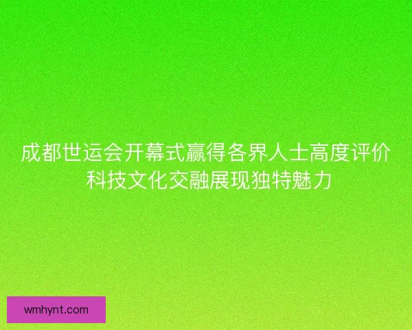 成都世运会开幕式赢得各界人士高度评价 科技文化交融展现独特魅力