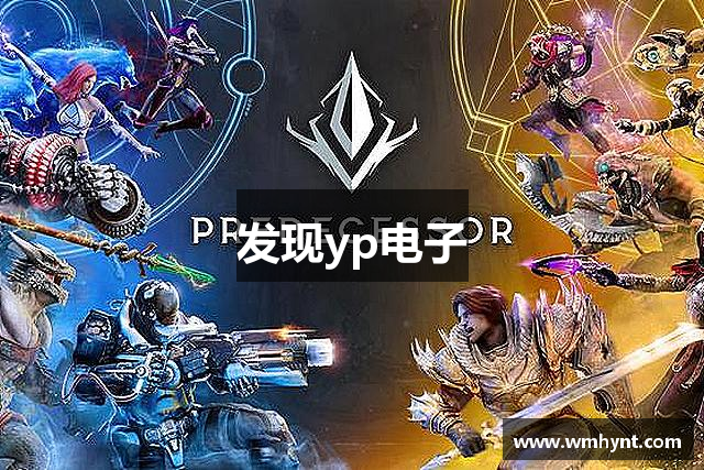 发现yp电子